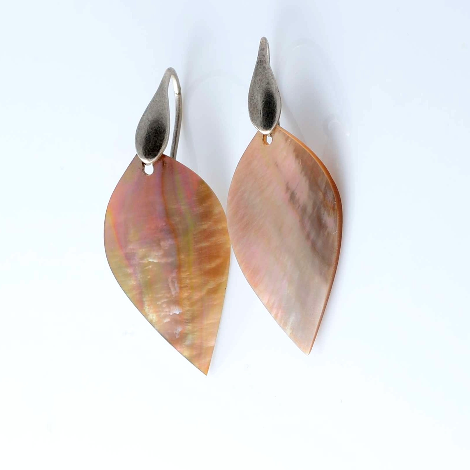 Silver earrings and shell